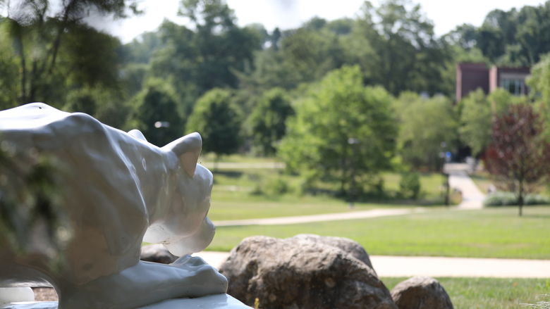 The Penn State Brandywine Lion Shrine