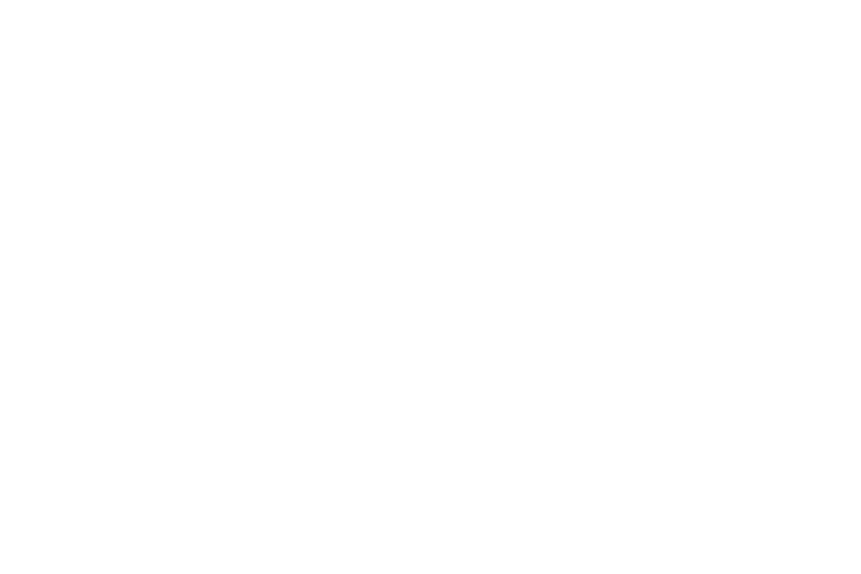 CARE Team Report Form